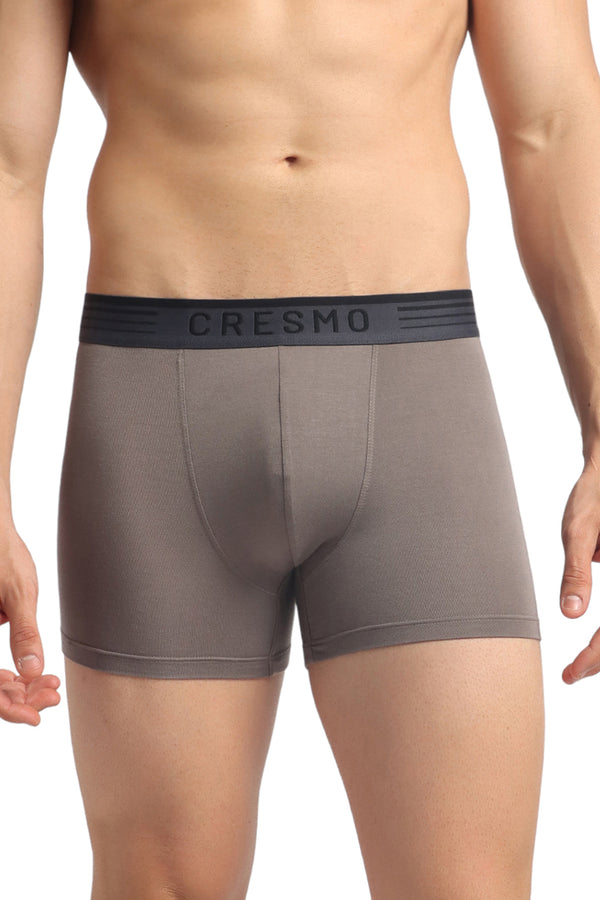 Civic Trunk Pack of 2 Slate Stone & Shinning Armour (Dark Grey & Ash Grey)